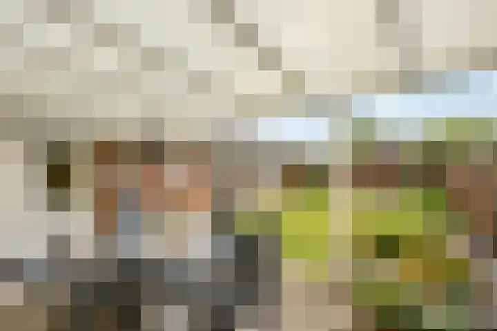 Abeelstraat 8 Echt thumbnail 37