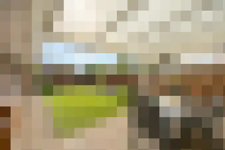 Abeelstraat 8 Echt thumbnail 4
