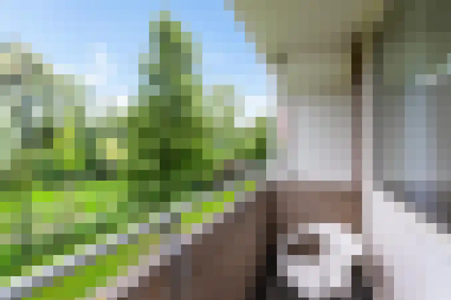 Abeelstraat 83 Groningen thumbnail 22