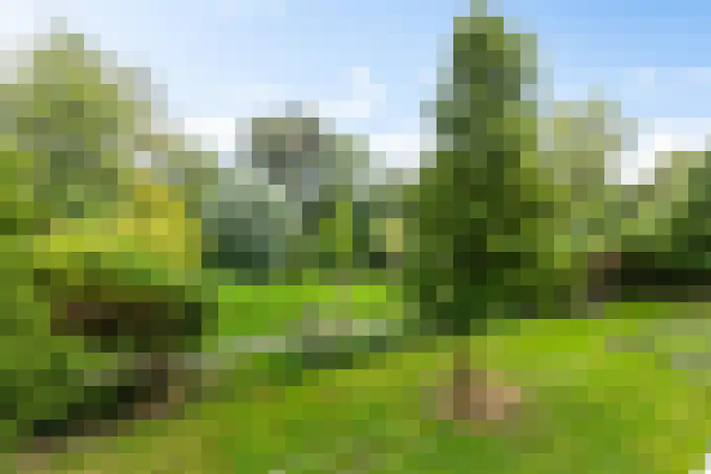 Abeelstraat 83 Groningen thumbnail 23