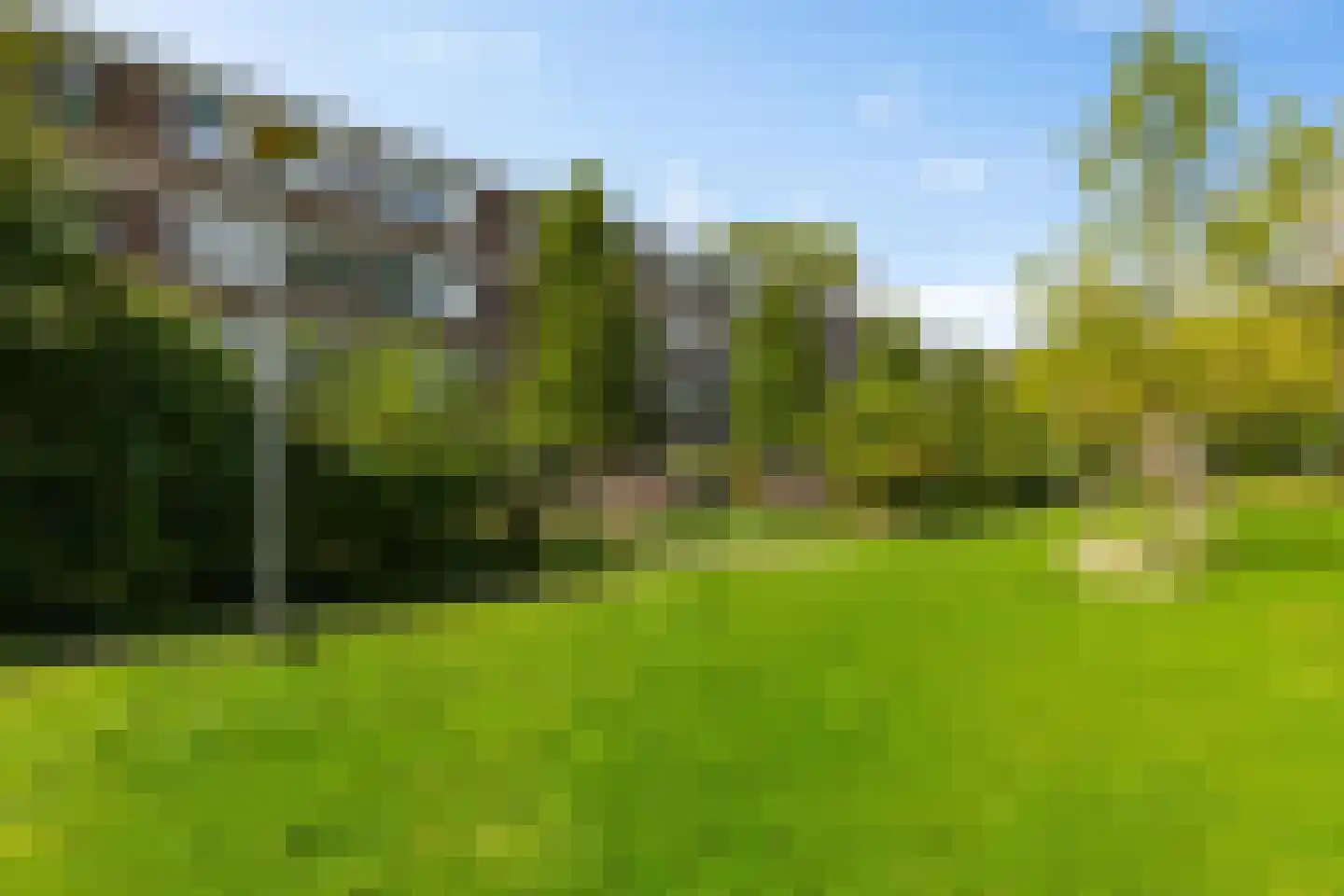 Abeelstraat 83 Groningen thumbnail 5