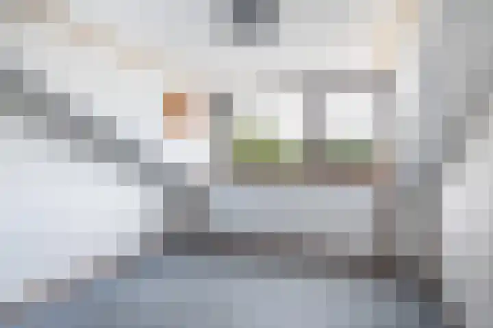 Abeelstraat 85 Dordrecht thumbnail 31