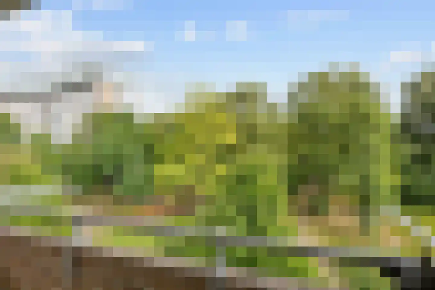 Abeelstraat 93 Groningen thumbnail 17