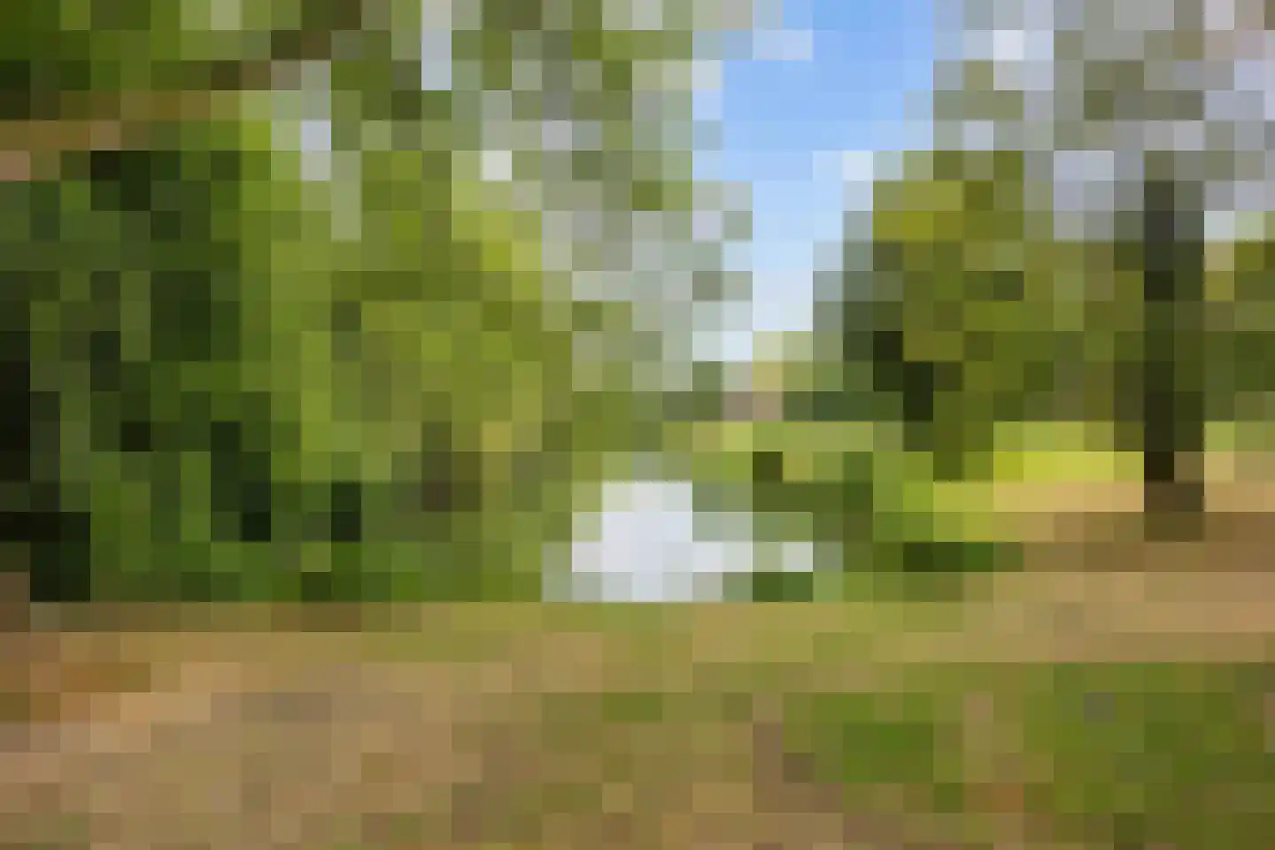 Abeelstraat 93 Groningen thumbnail 39