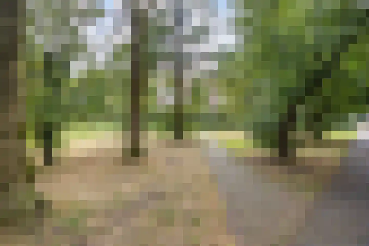 Abeelstraat 93 Groningen thumbnail 40