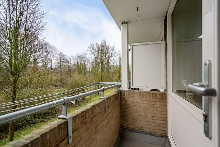 Abeelstraat 99 Groningen thumbnail 14