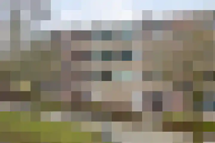 Abeelstraat 99 Groningen thumbnail 26