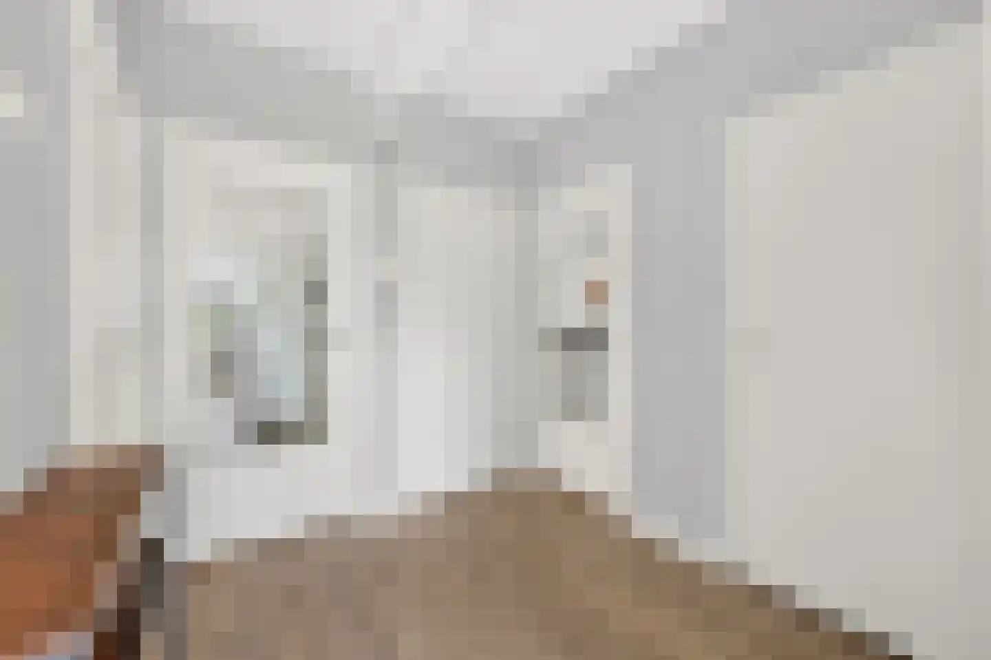 Abeelweg 110 Rotterdam thumbnail 13