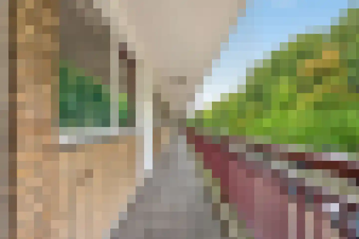 Abeelweg 110 Rotterdam thumbnail 32