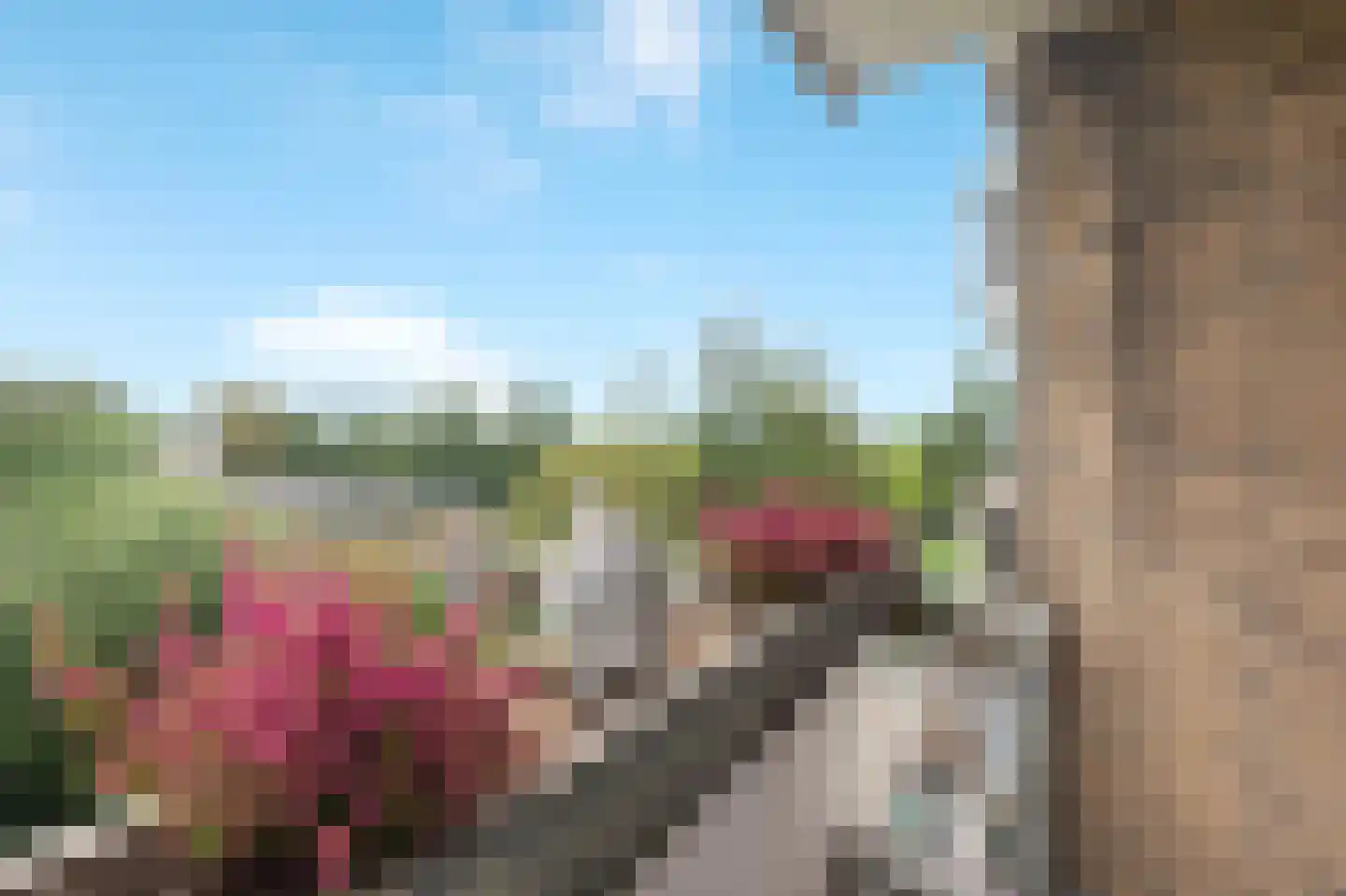 Abeelweg 122 Rotterdam thumbnail 11
