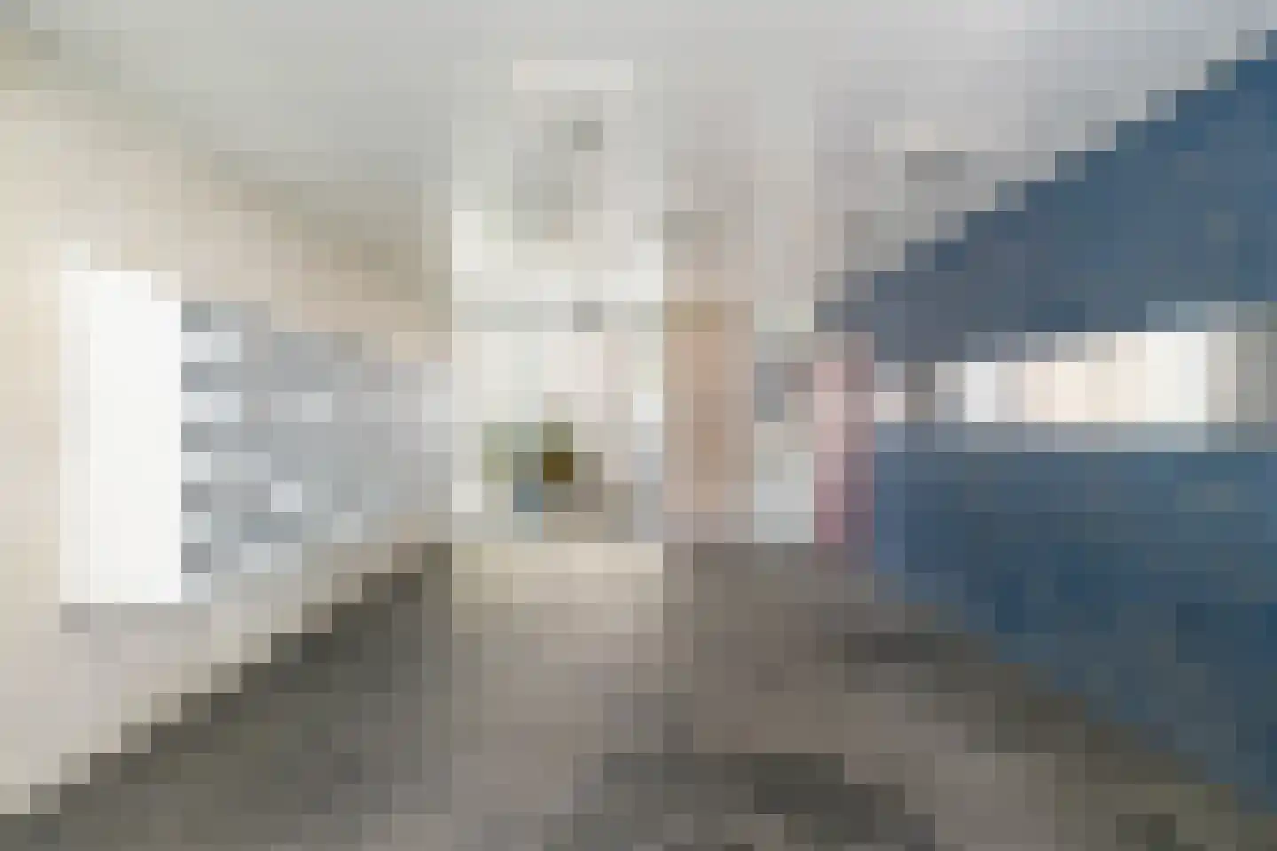 Abeelweg 148 Rotterdam thumbnail 7