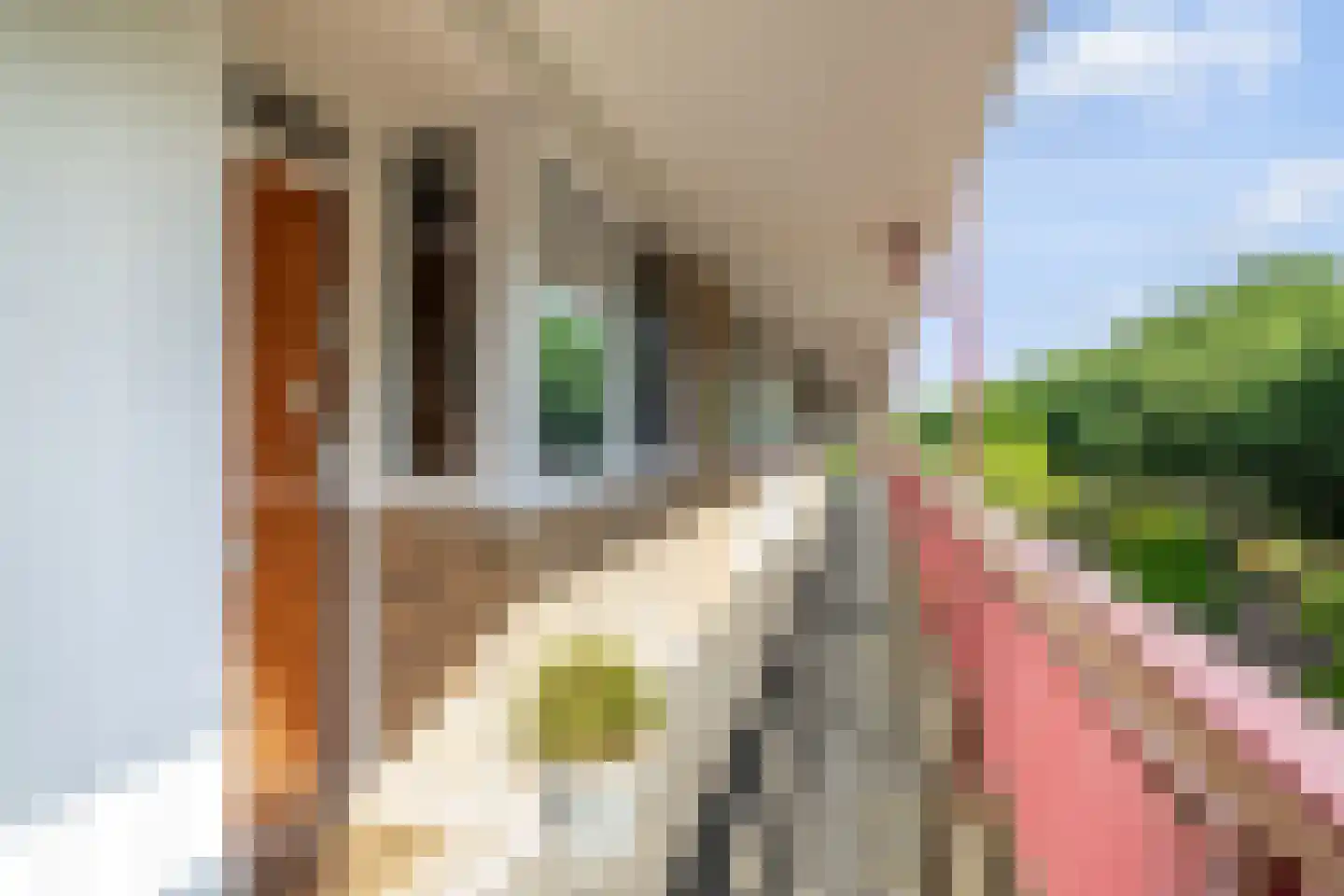 Abeelweg 148 Rotterdam thumbnail 8