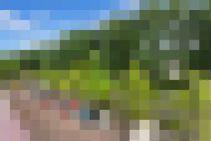 Abeelweg 152 Rotterdam thumbnail 33