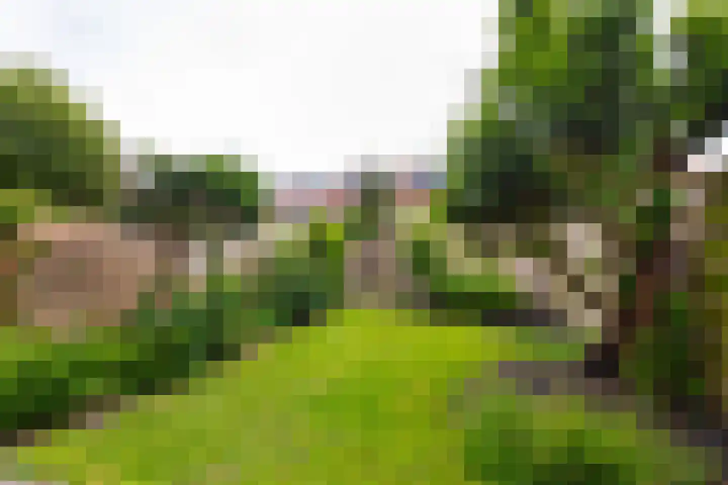 Abel Tasmankade 31 Haarlem thumbnail 14