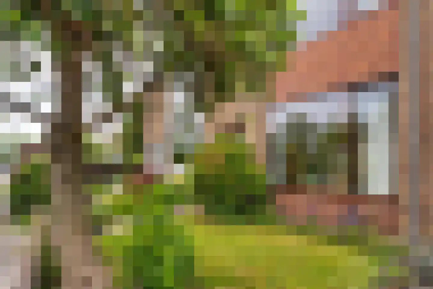 Abel Tasmankade 31 Haarlem thumbnail 32