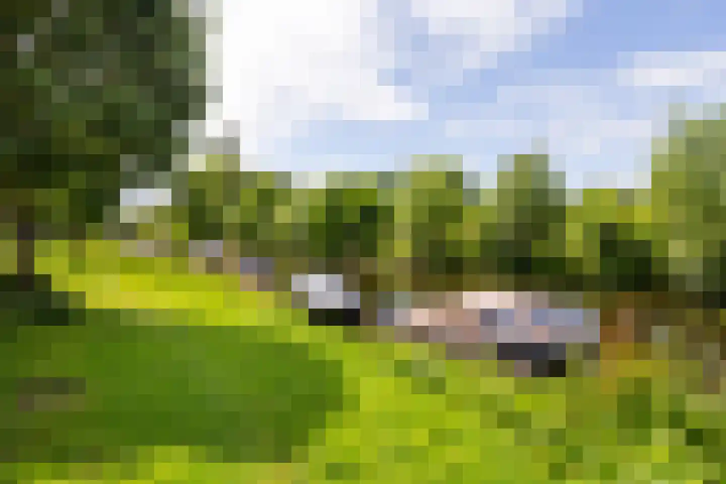 Abel Tasmankade 31 Haarlem thumbnail 33