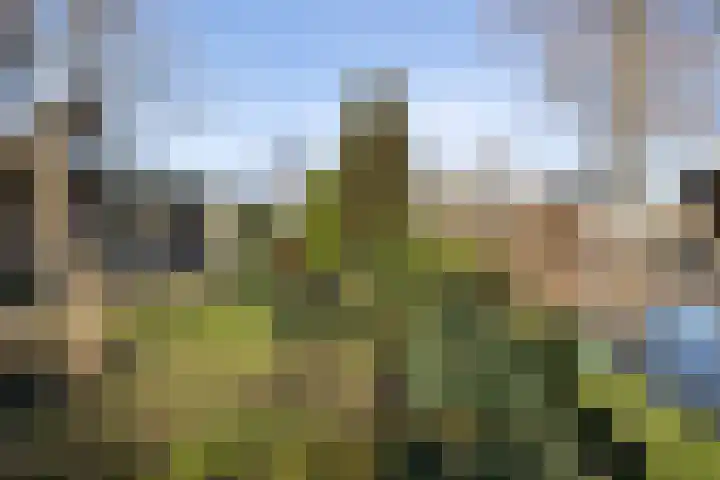 Abel Tasmanlaan 3 Gouda thumbnail 62