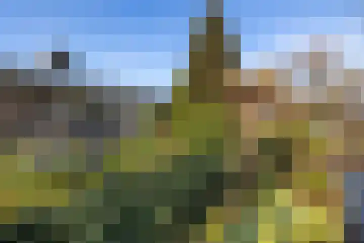 Abel Tasmanlaan 3 Gouda thumbnail 64