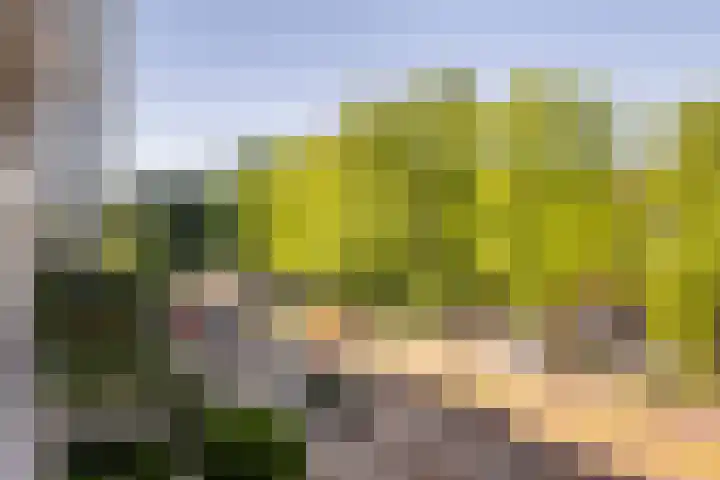 Abel Tasmanlaan 62 Vlaardingen thumbnail 20