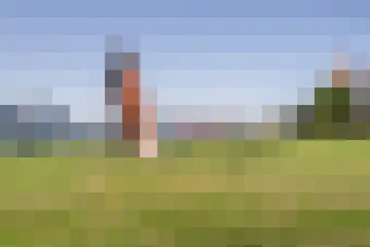Abel Tasmanlaan 62 Vlaardingen thumbnail 31