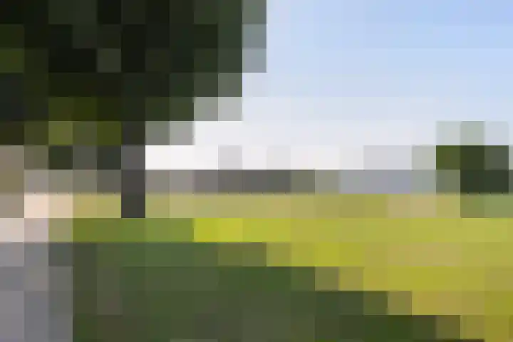 Abel Tasmanlaan 62 Vlaardingen thumbnail 32