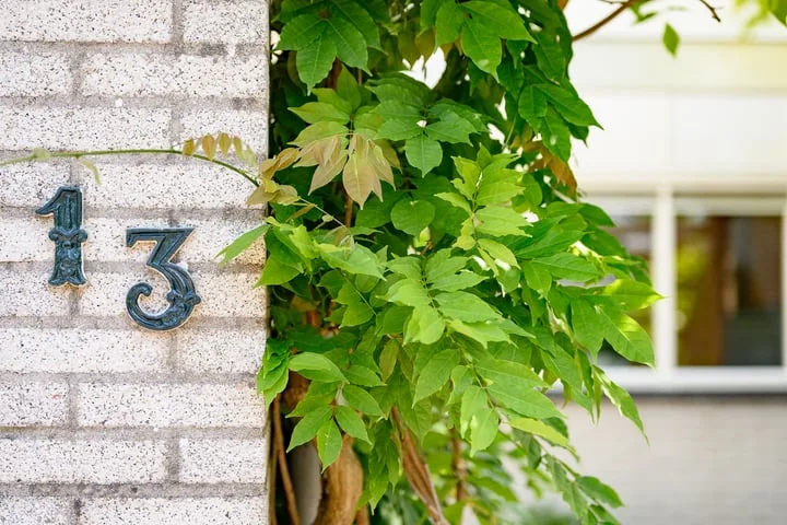 Abel Tasmanplantsoen 13 Voorschoten thumbnail 8