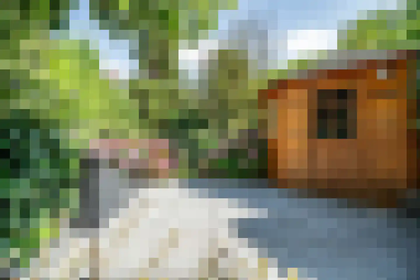 Abel Tasmanplantsoen 15 Voorschoten thumbnail 18