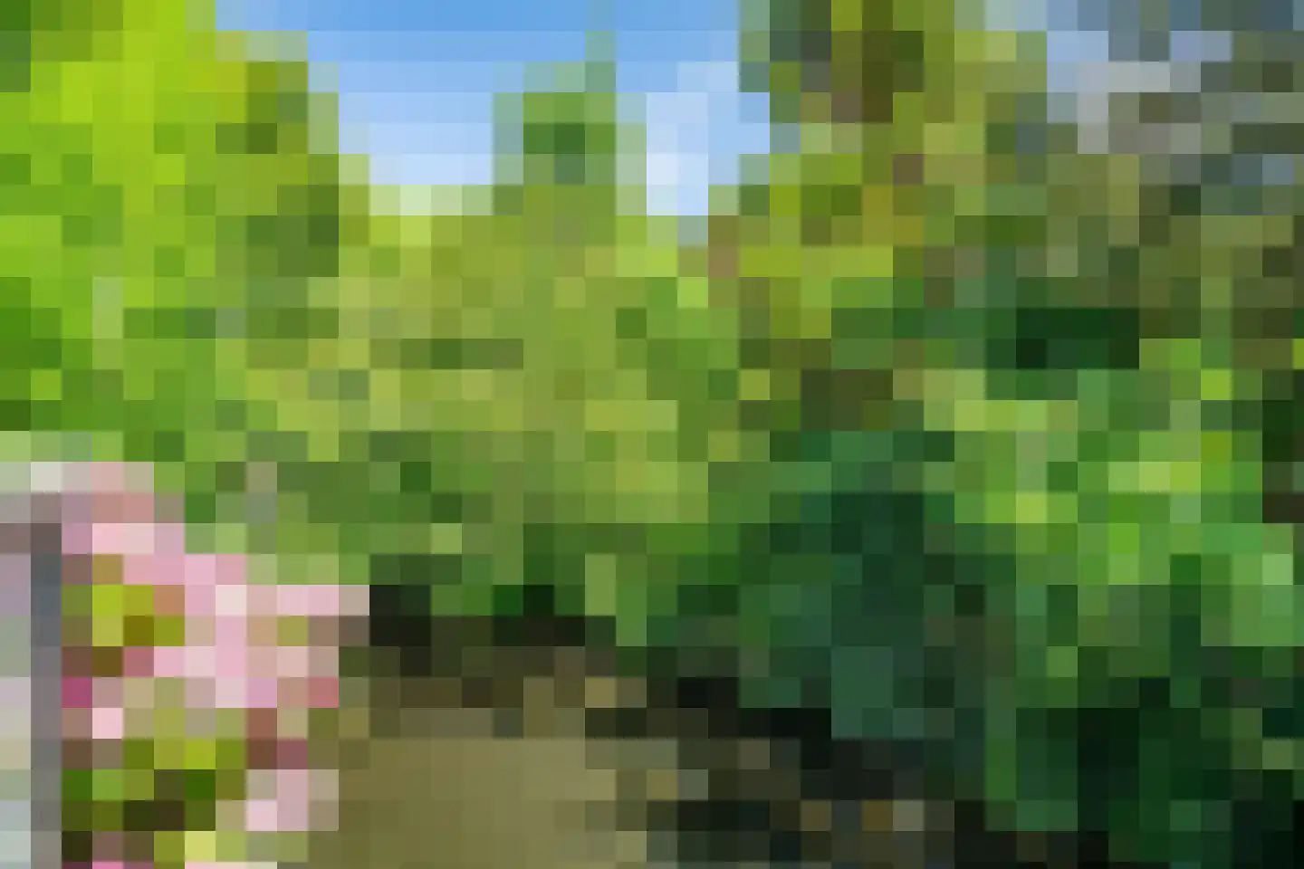 Abel Tasmanplantsoen 15 Voorschoten thumbnail 21