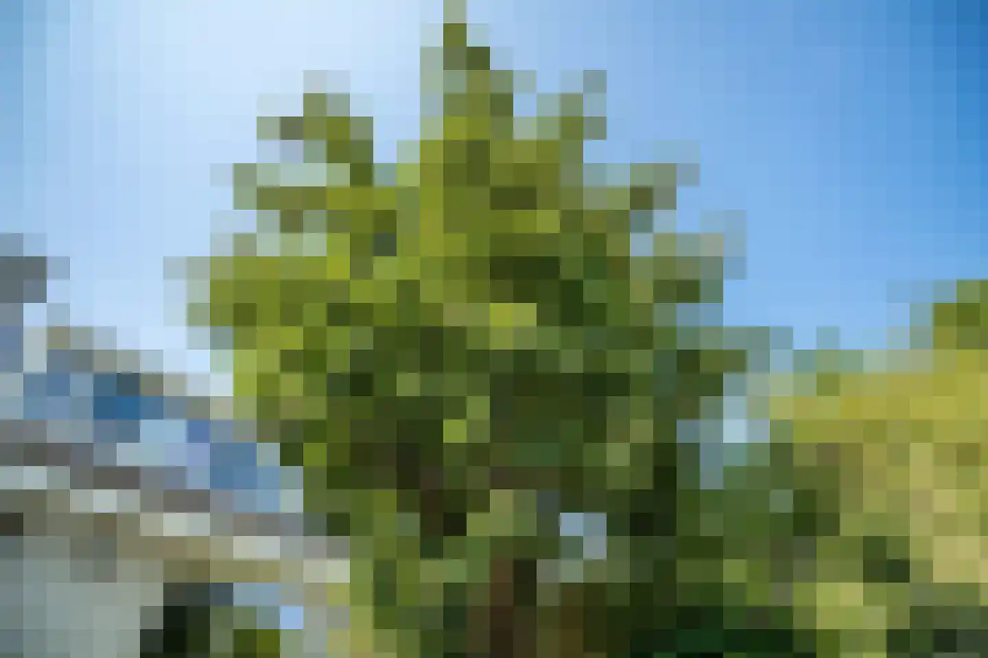 Abel Tasmanplantsoen 15 Voorschoten thumbnail 23