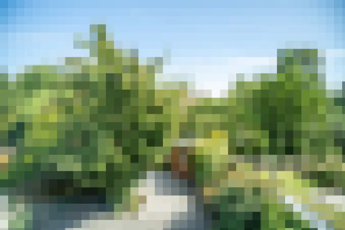 Abel Tasmanplantsoen 15 Voorschoten thumbnail 48