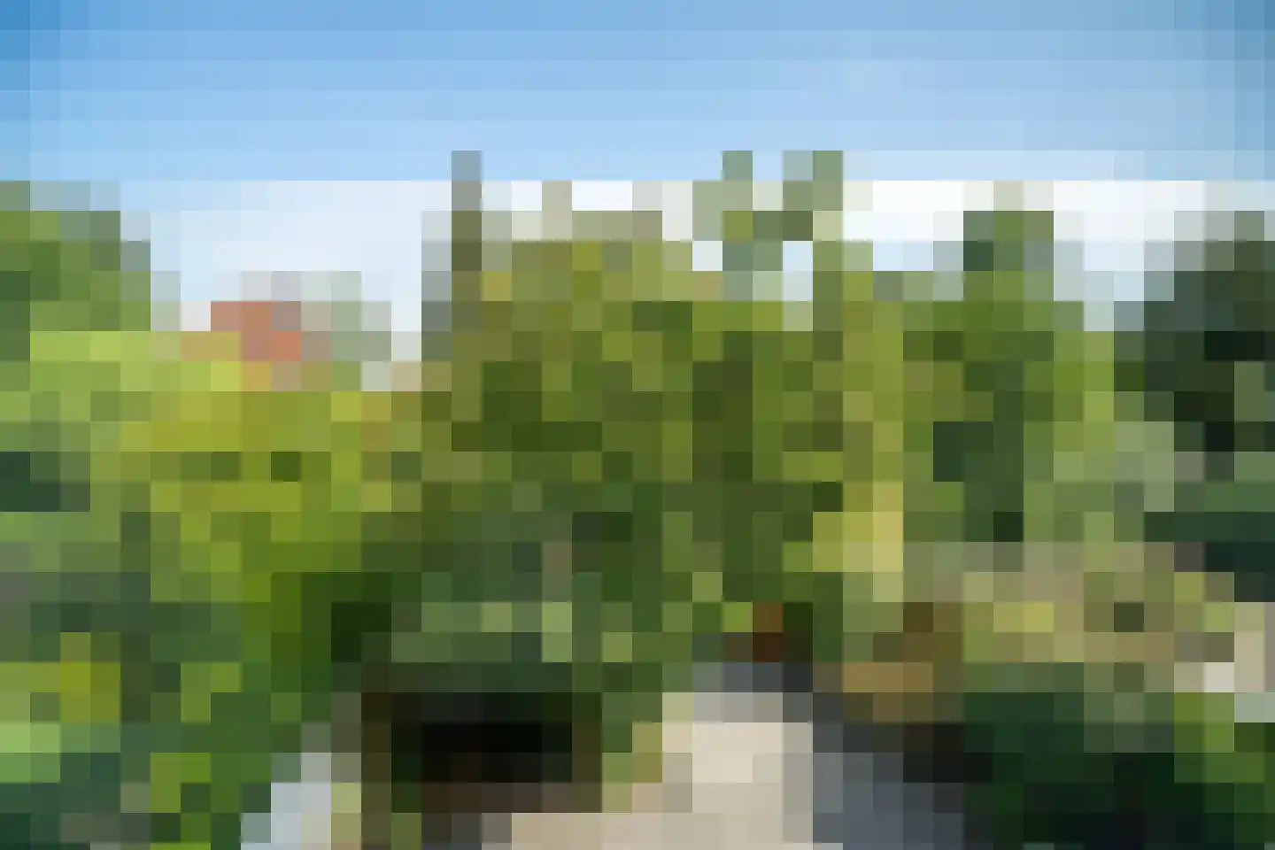 Abel Tasmanplantsoen 15 Voorschoten thumbnail 56
