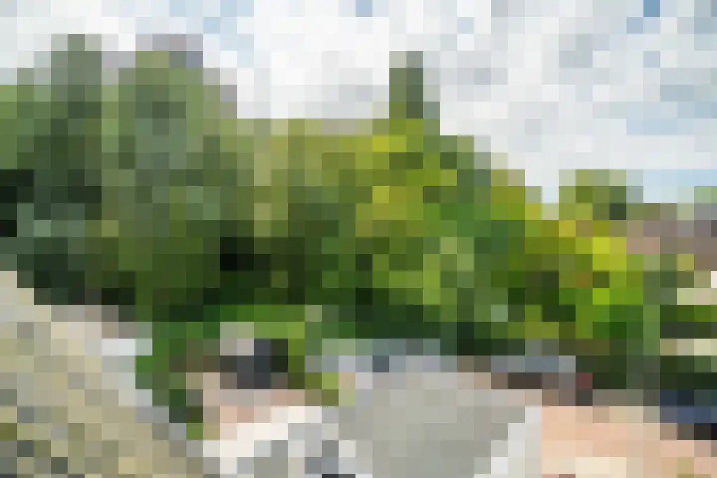 Abel Tasmanplantsoen 15 Voorschoten thumbnail 75