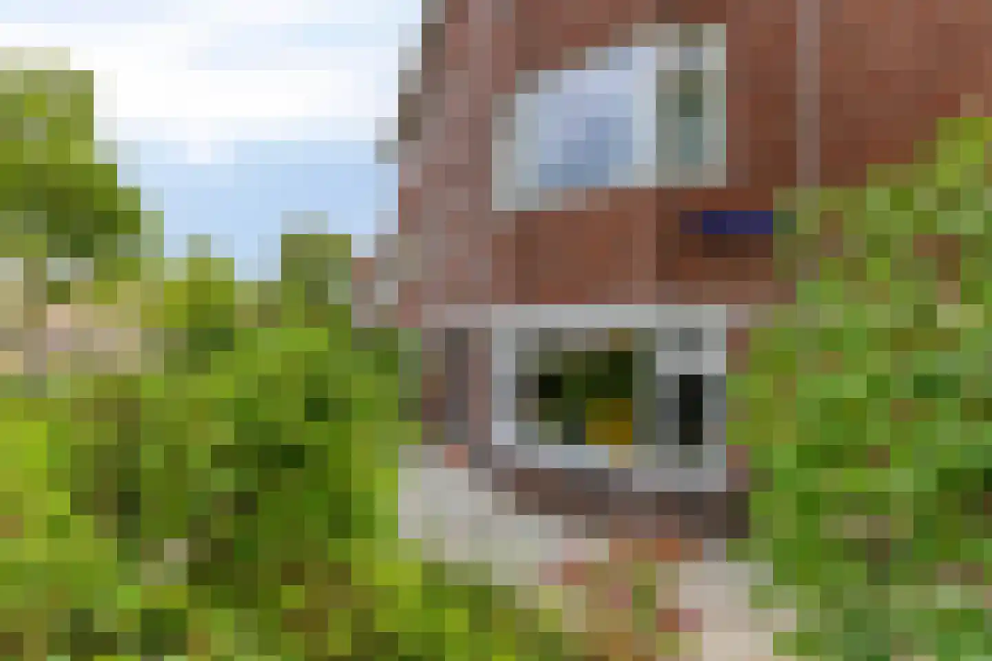 Abel Tasmanplein 1 Groningen thumbnail 5