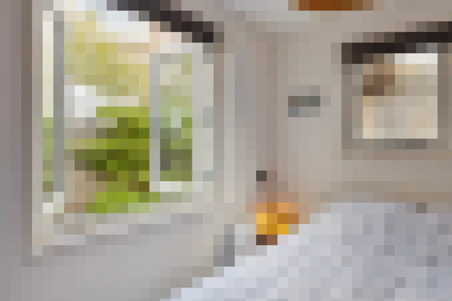 Abel Tasmanplein 100 Groningen thumbnail 21