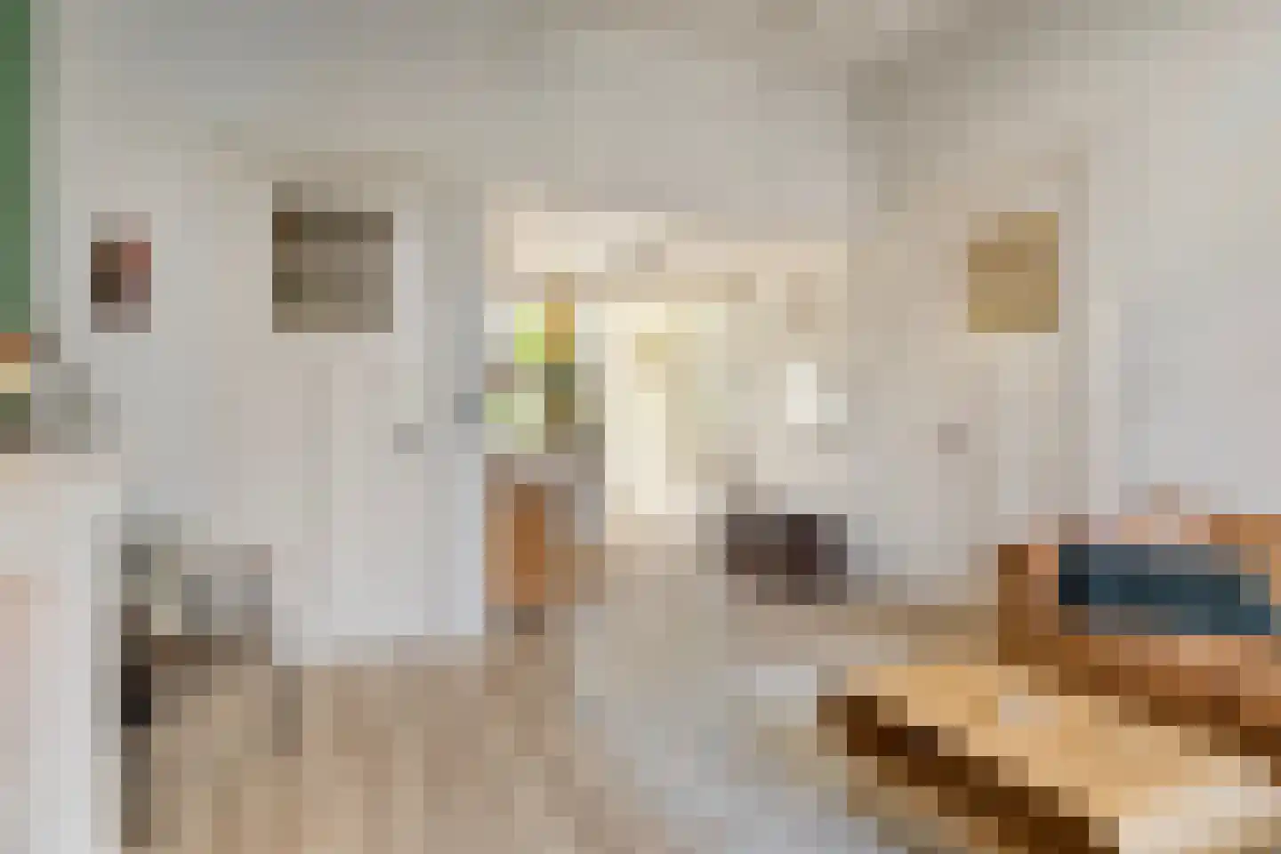 Abel Tasmanplein 100 Groningen thumbnail 5