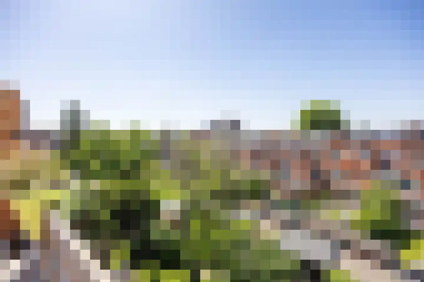 Abel Tasmanplein 15 a Groningen thumbnail 33