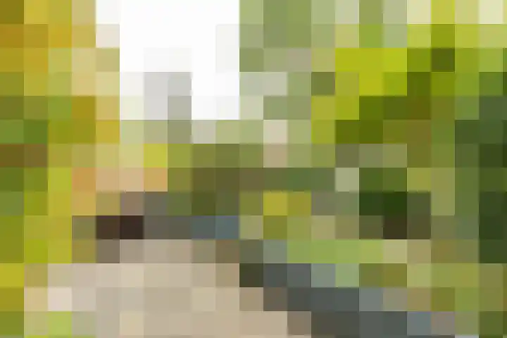 Abel Tasmanplein 21 Groningen thumbnail 22