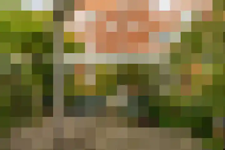 Abel Tasmanplein 21 Groningen thumbnail 25