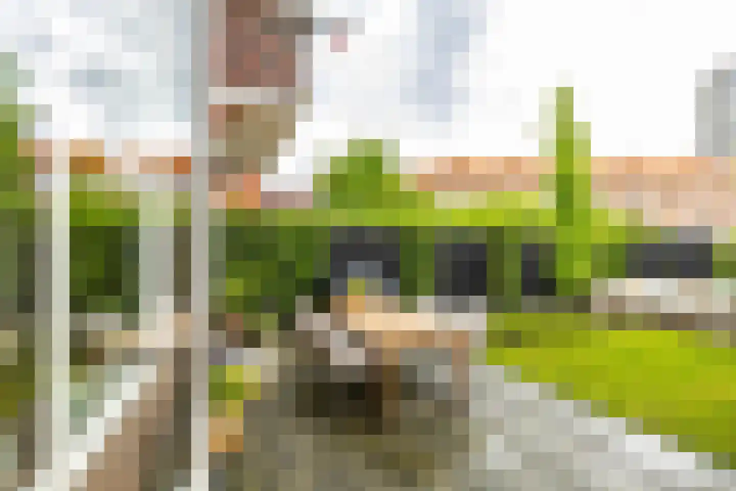 Abel Tasmanstraat 10 Groningen thumbnail 15