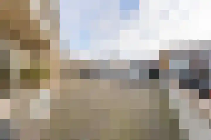 Abel Tasmanstraat 10 Noordwijk thumbnail 31