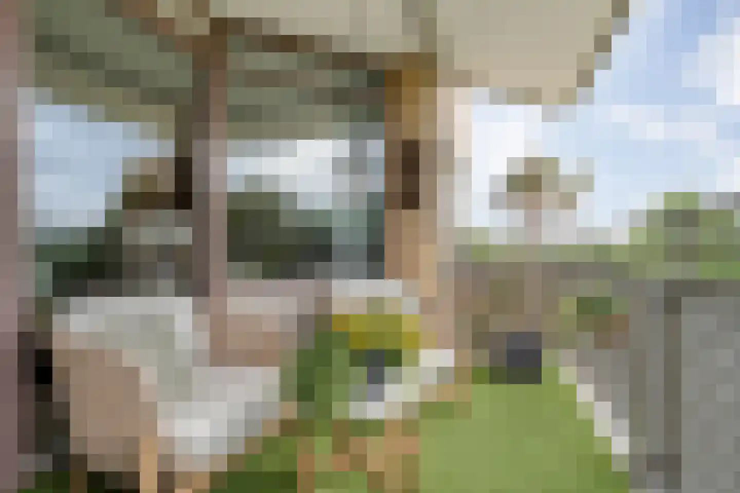Abel Tasmanstraat 118 Zwolle thumbnail 39