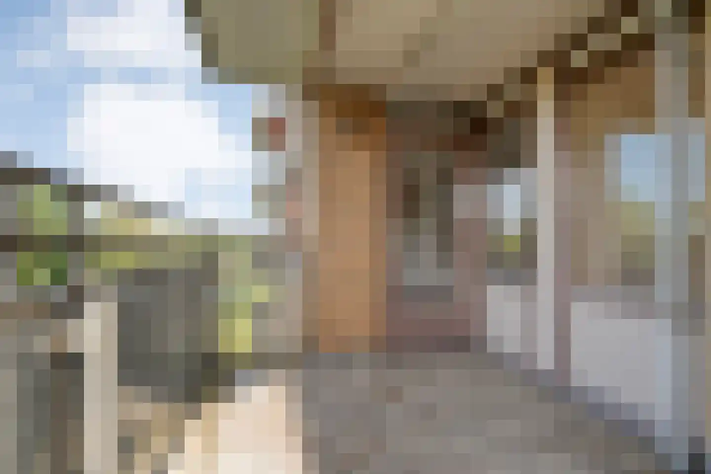 Abel Tasmanstraat 120 Zwolle thumbnail 23