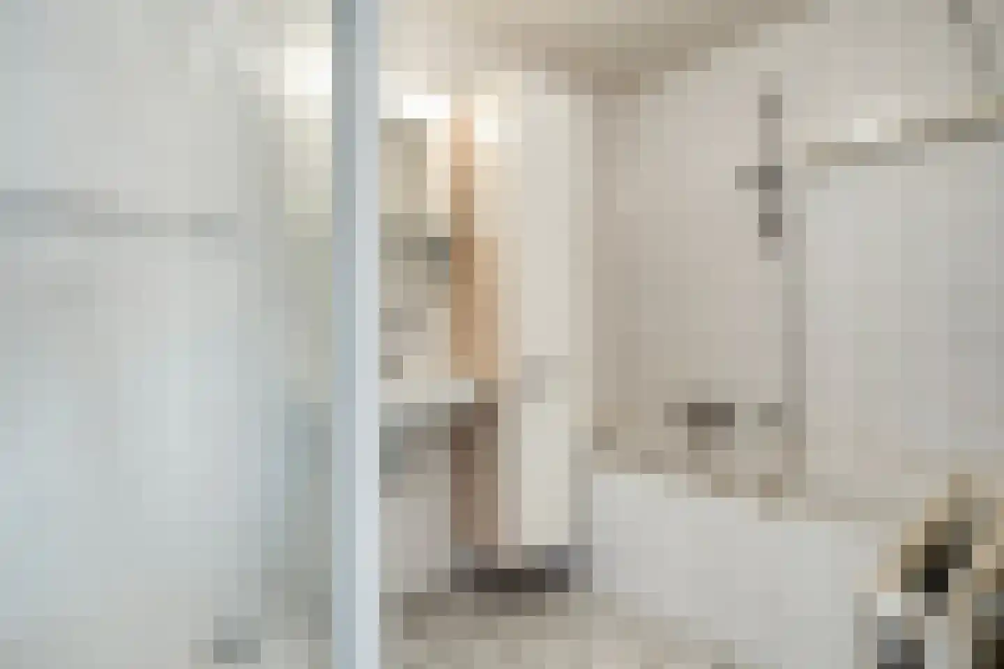 Abel Tasmanstraat 120 Zwolle thumbnail 35