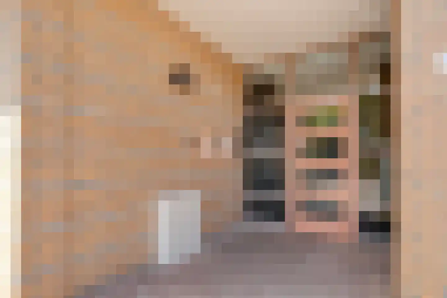 Abel Tasmanstraat 120 Zwolle thumbnail 9