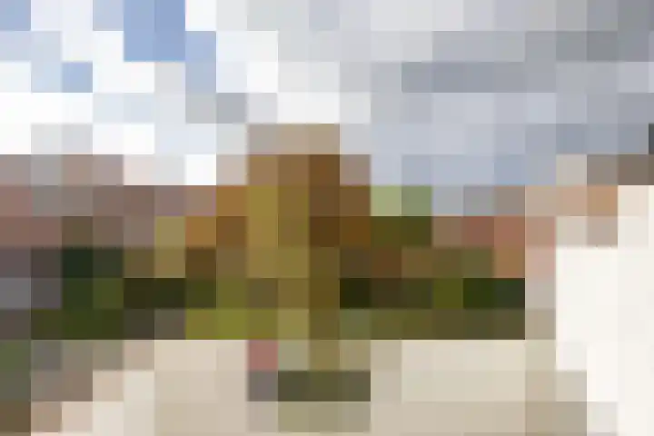 Abel Tasmanstraat 15 b Groningen thumbnail 37