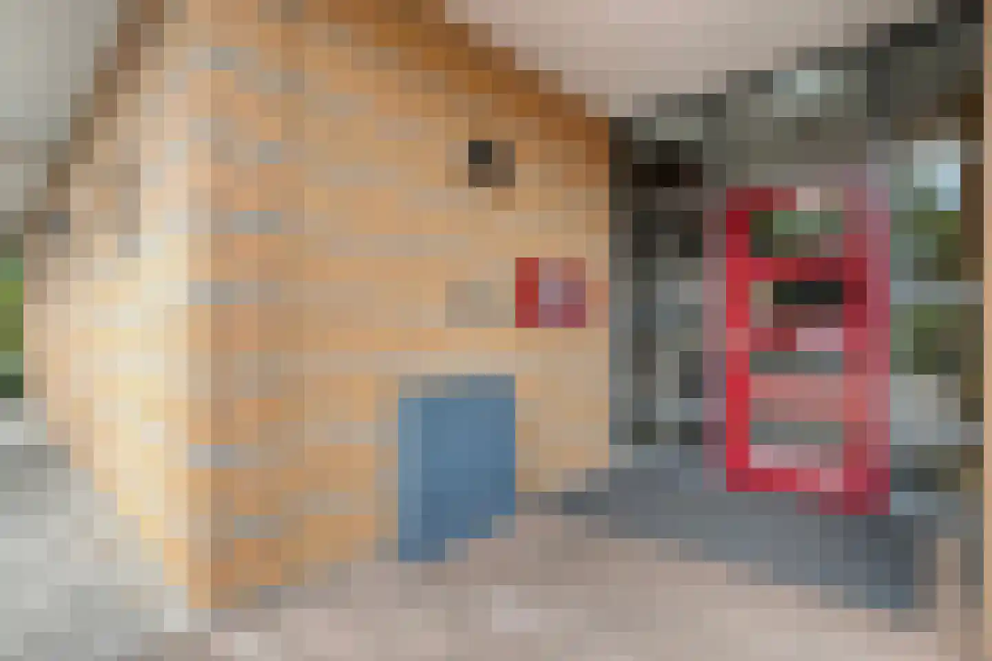 Abel Tasmanstraat 182 Zwolle thumbnail 5