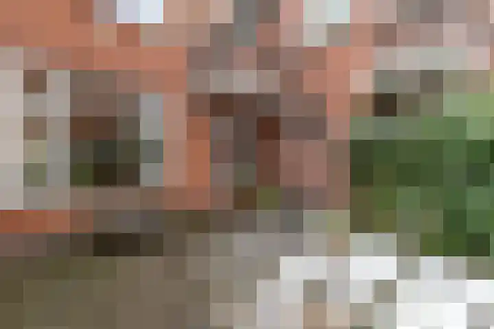 Abel Tasmanstraat 2 Groningen thumbnail 31