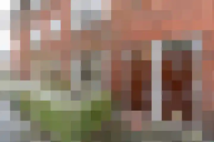Abel Tasmanstraat 2 Groningen thumbnail 5