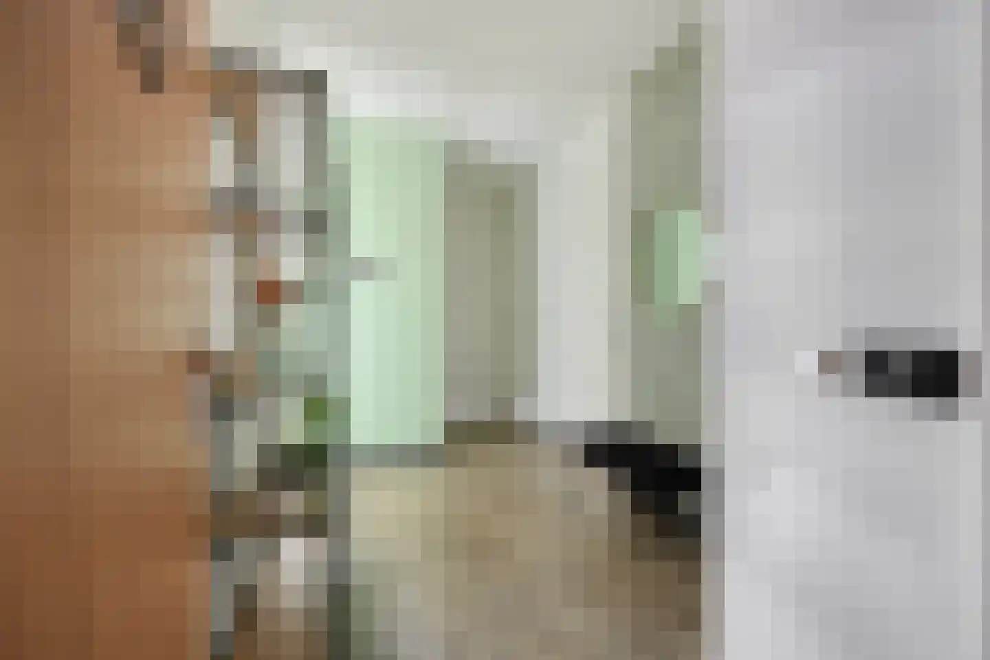 Abel Tasmanstraat 21 Alphen aan den Rijn thumbnail 15