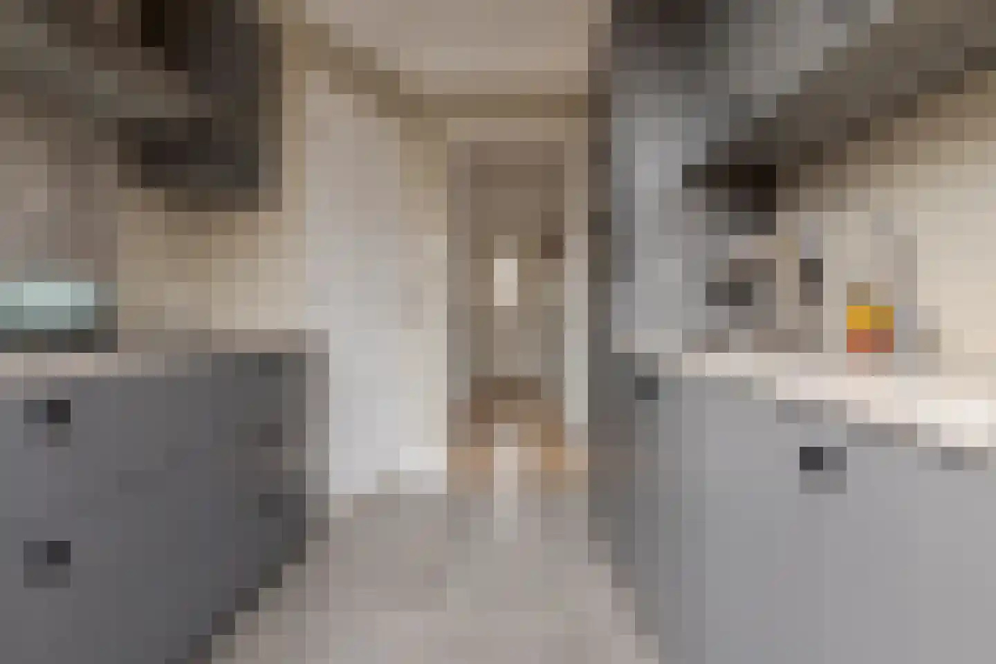 Abel Tasmanstraat 21 Zwolle thumbnail 19